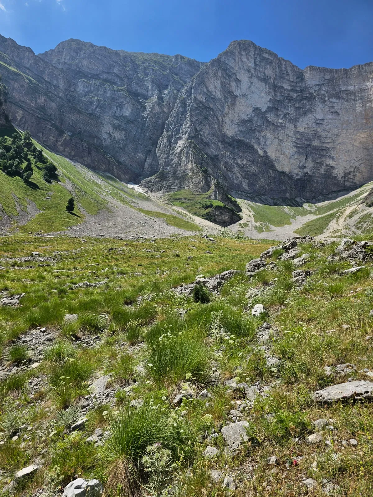 Mountain Safari